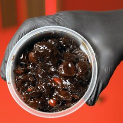 تصویر ترشک آلوچه جنگلی 