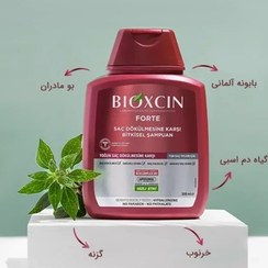 تصویر شامپو ضد ریزش مو شدید مدل فورته ( forte) حجم 300 میل anti hair loss Shampoo