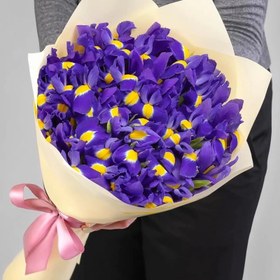 تصویر پیاز گل زنبق (پیازی) 