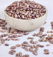 تصویر لوبیا چیتی 