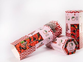 تصویر دمنوش میکسبری 