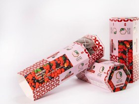 تصویر دمنوش میکسبری 