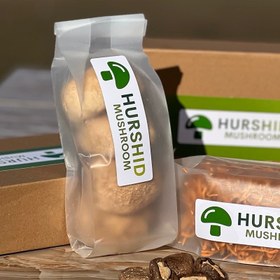 تصویر قارچ یال شیر 100 گرمی 