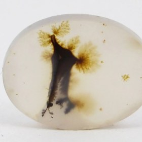 تصویر سنگ شجر کد 2387 