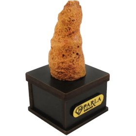 تصویر سنگ راف مدل فسیلی پارلا گوهر کد 5815 