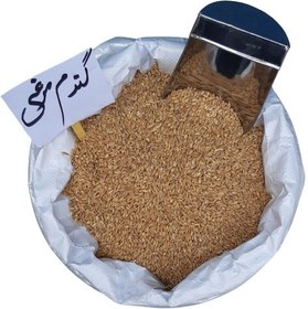 تصویر گندم مرغی فله 