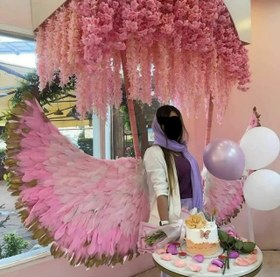 تصویر بال فرشته 