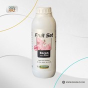 تصویر کود مایع فروت ست ایکس گرین ۱ لیتری (آمینو بورون زینک) 