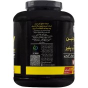 تصویر پودر پروتئین وی 100 درصد پگاه 1250 گرمی Milk Protein Concentrate-1250GR