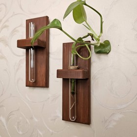 تصویر گلدان دیوارکوب دلسی وود 