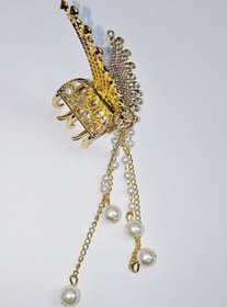 تصویر کلیپس مجلسی فلزی کد 1 