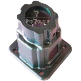 تصویر گلدانی انتهای خط دانخوری بشقابی 