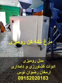 تصویر مرغ تکه کن رومیزی 