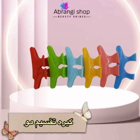 تصویر گیره تقسیم مو ۱۲عددی 