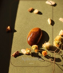 تصویر نگین سنگ عقیق (شجر پاییزی) Agate Gemstone