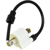 تصویر کوئل پالس - باکسر اصلی 