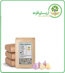 تصویر موسیر خشک فله 