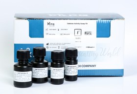 تصویر CAT Assay Kit (96 reactions) 