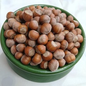 تصویر مغز فندق خام 