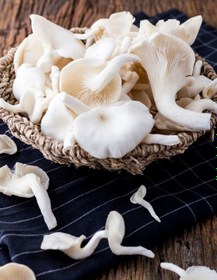 تصویر قارچ صدفی سفید تازه 1 کیلوگرم oyster mushroom