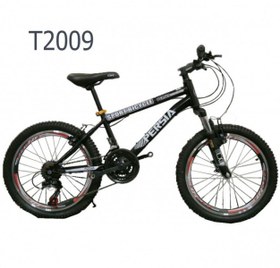 تصویر دوچرخه ایرانی سایز 20 کد T2009 
