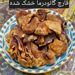 تصویر قارچ گانودرما لوسیدوم 300 گرم 