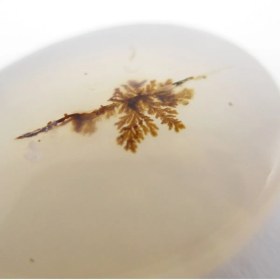 تصویر سنگ شجر کد 2312 