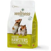 تصویر غذای سوپر پرمیوم همستر پادوان – Wellness Hamsters 