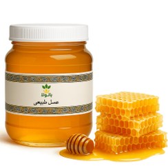 تصویر عسل طبیعی گیاهان کوهستان - 500 گرمی 