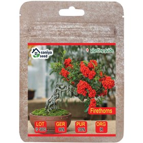 تصویر بذر بنسای پیراکانتا قرمز سانیا سید مدل S110 