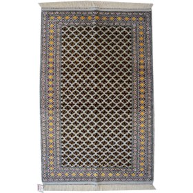 تصویر دخترقاضی گل ابریشم فیلی 