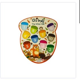 تصویر بلوط دانا 