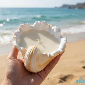 تصویر قالب گوش ماهی 