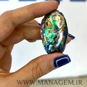 تصویر صدف آبالون 