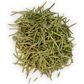 تصویر برگ رزماری 