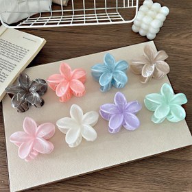 تصویر کلیپس گل پلومریا ماربل 