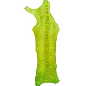 تصویر چرم ساق شتر مرغ OL019 سورت A 