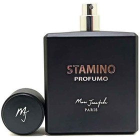 تصویر ادکلن مارک جوزف استامینو پروفومو Marc Joseph stamino profumo Marc Joseph Stamino Profumo Eduperfume for Men - 100 ML