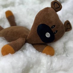 تصویر تدی مستر بین سایز دو 40 سانتی متر 