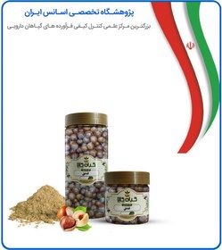 تصویر فندق خام بسته بندی 