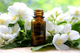 تصویر اسانس یاس (Jasmine essential oil) 