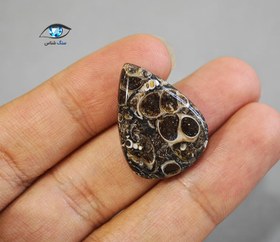 تصویر فسیل توریتلا 5.5 گرم 