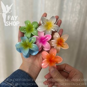 تصویر کیلیپس پلومریا رنگی سایز ۶ 