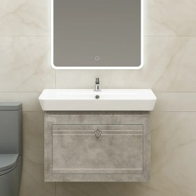 تصویر آلدین پتینه 