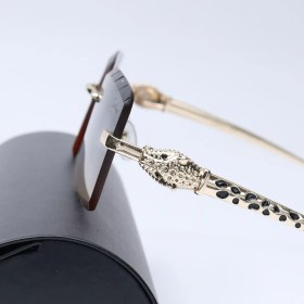 تصویر عینک فشن کارتیر کد ۵۸۹۵۲۳ 