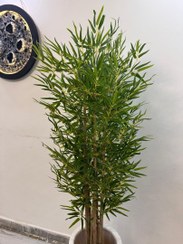 تصویر درختچه مصنوعی بامبو رنگ روشن ۷ شاخه با ارتفاع ۱۷۰ 