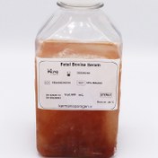 تصویر Fetal Bovine Serum (۵۰۰cc) 