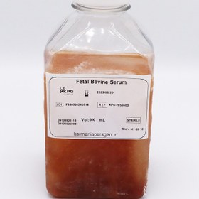 تصویر Fetal Bovine Serum (۵۰۰cc) 