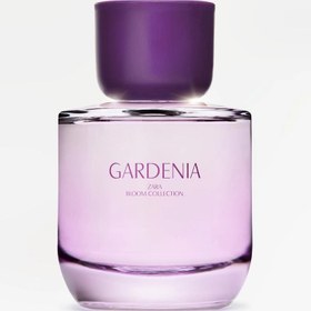 تصویر عطر زنانه زارا گاردنیا | Zara Gardenia - دکانت 10 میل Zara Gardenia