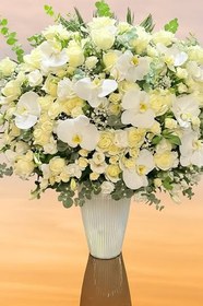 تصویر جام گل بله برون 